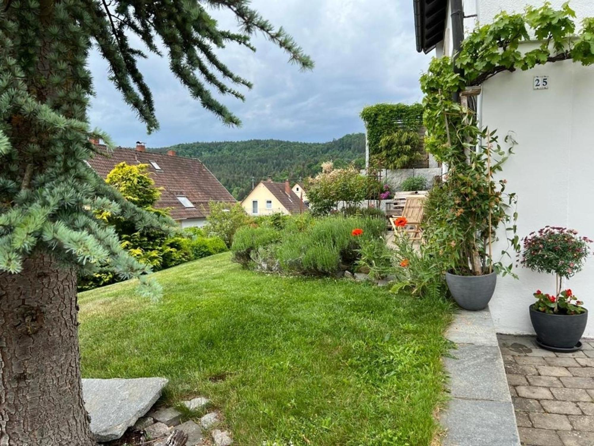 Ferienwohnung Jardin De Lavande Fridingen an der Donau Екстер'єр фото