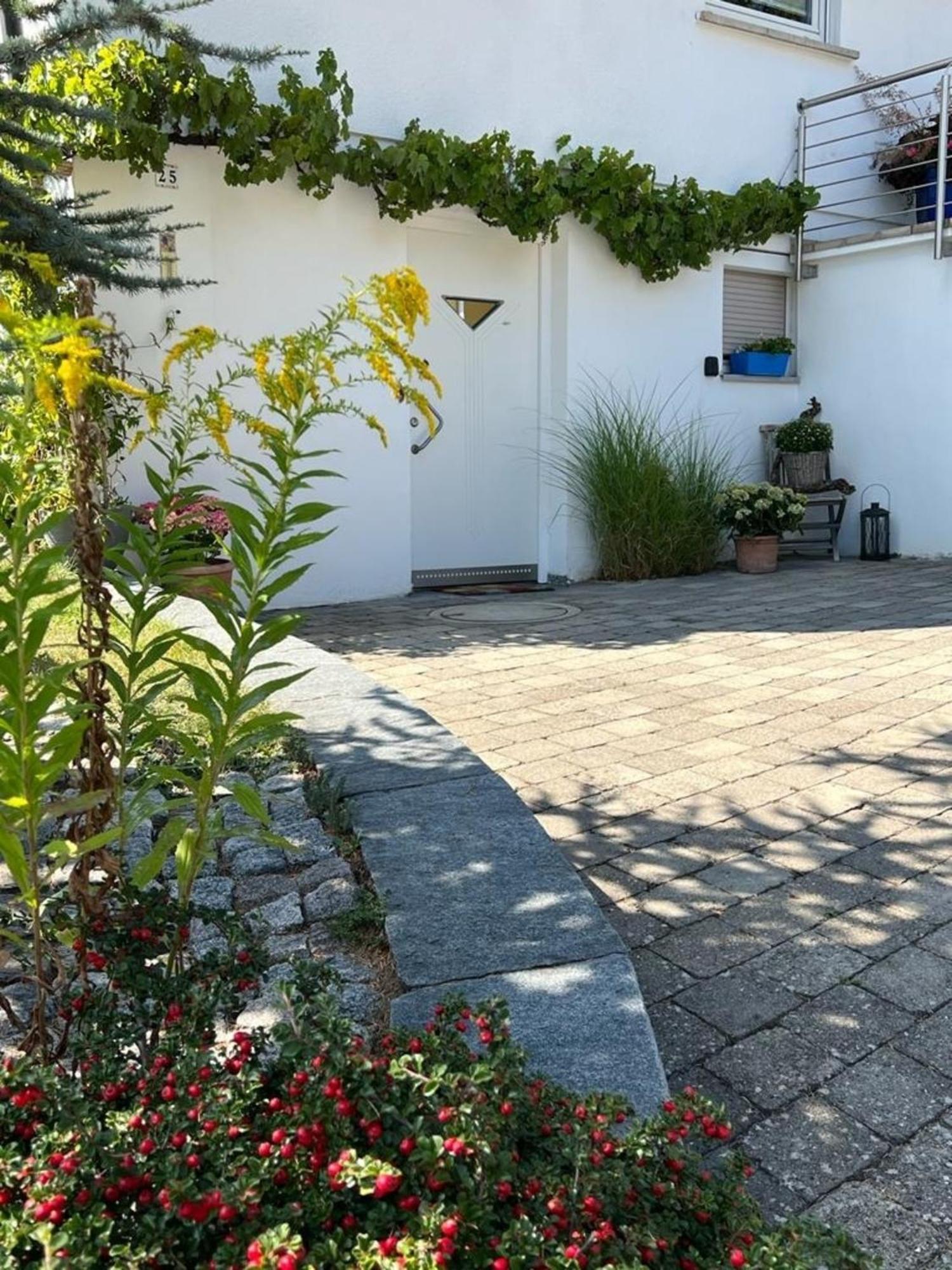 Ferienwohnung Jardin De Lavande Fridingen an der Donau Екстер'єр фото