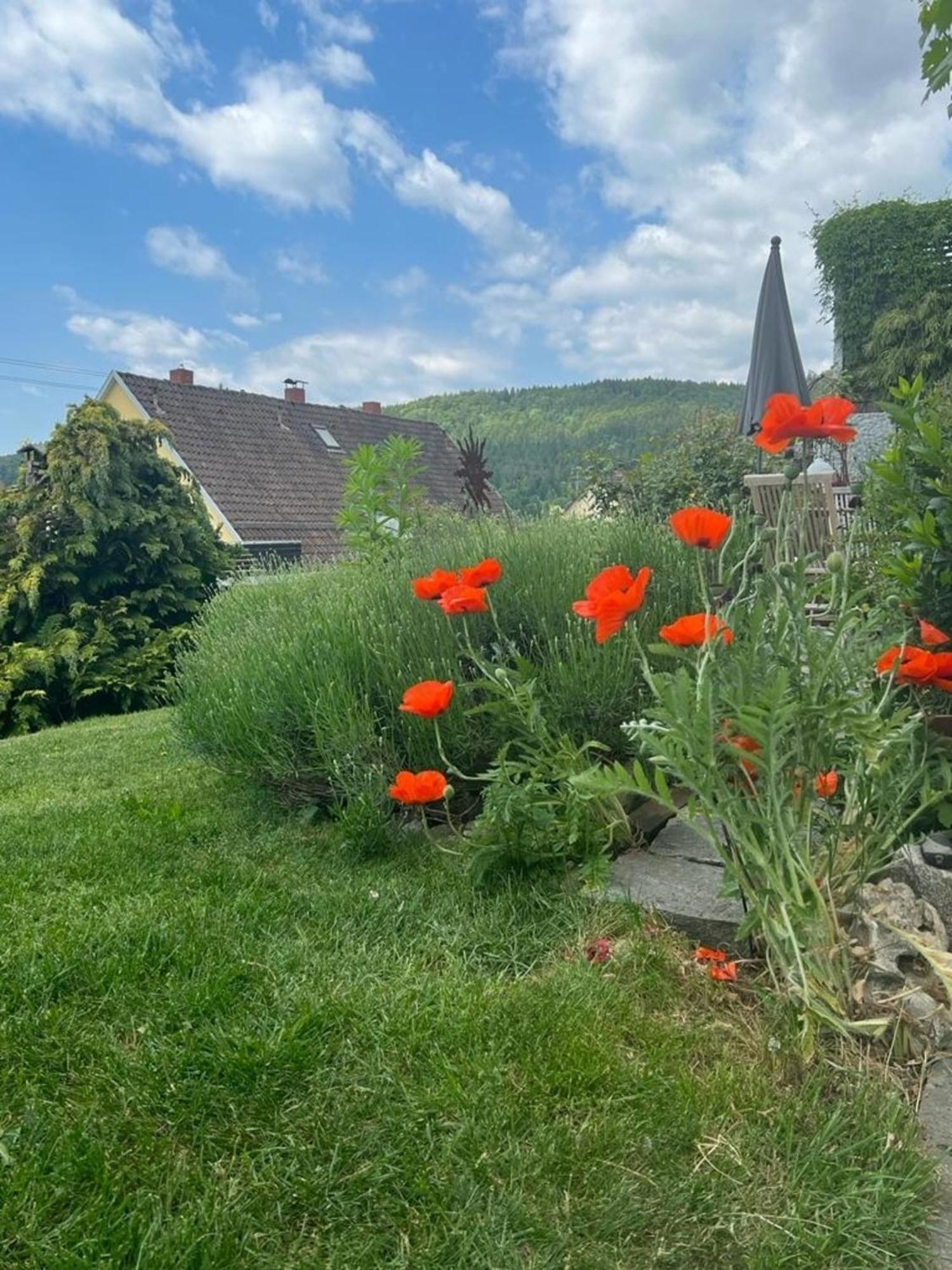 Ferienwohnung Jardin De Lavande Fridingen an der Donau Екстер'єр фото