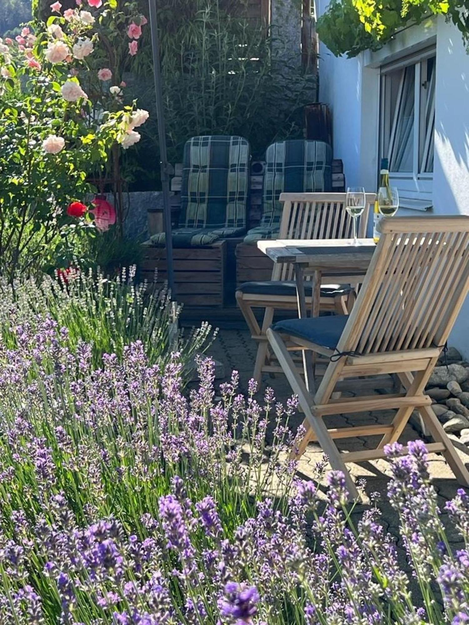 Ferienwohnung Jardin De Lavande Fridingen an der Donau Екстер'єр фото